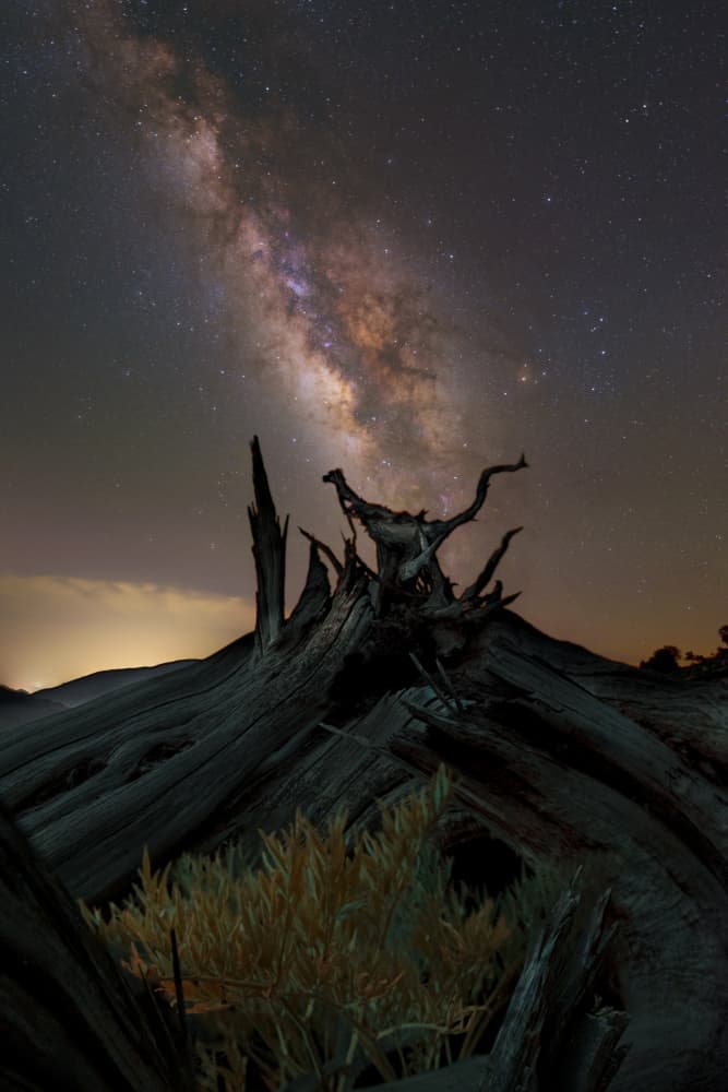 Ancient Roots Cosmic Sky by Hosein Babaei — canvas wall art
