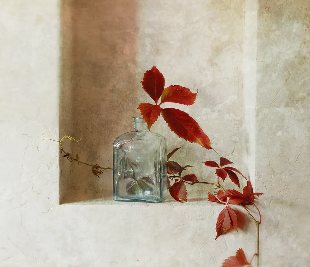 Peaceful Autumn Niche by Ala Pneuma — canvas wall art
