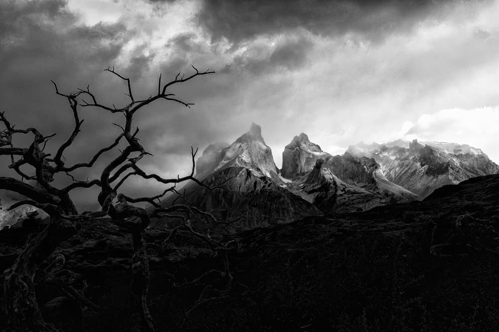Dark Peaks And Barren Tree by Michel Groleau — canvas wall art