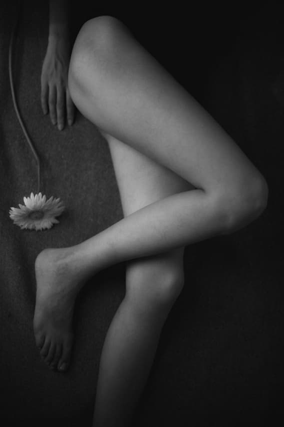 Soft Curves Bloom by Suren Manvelyan — canvas wall art