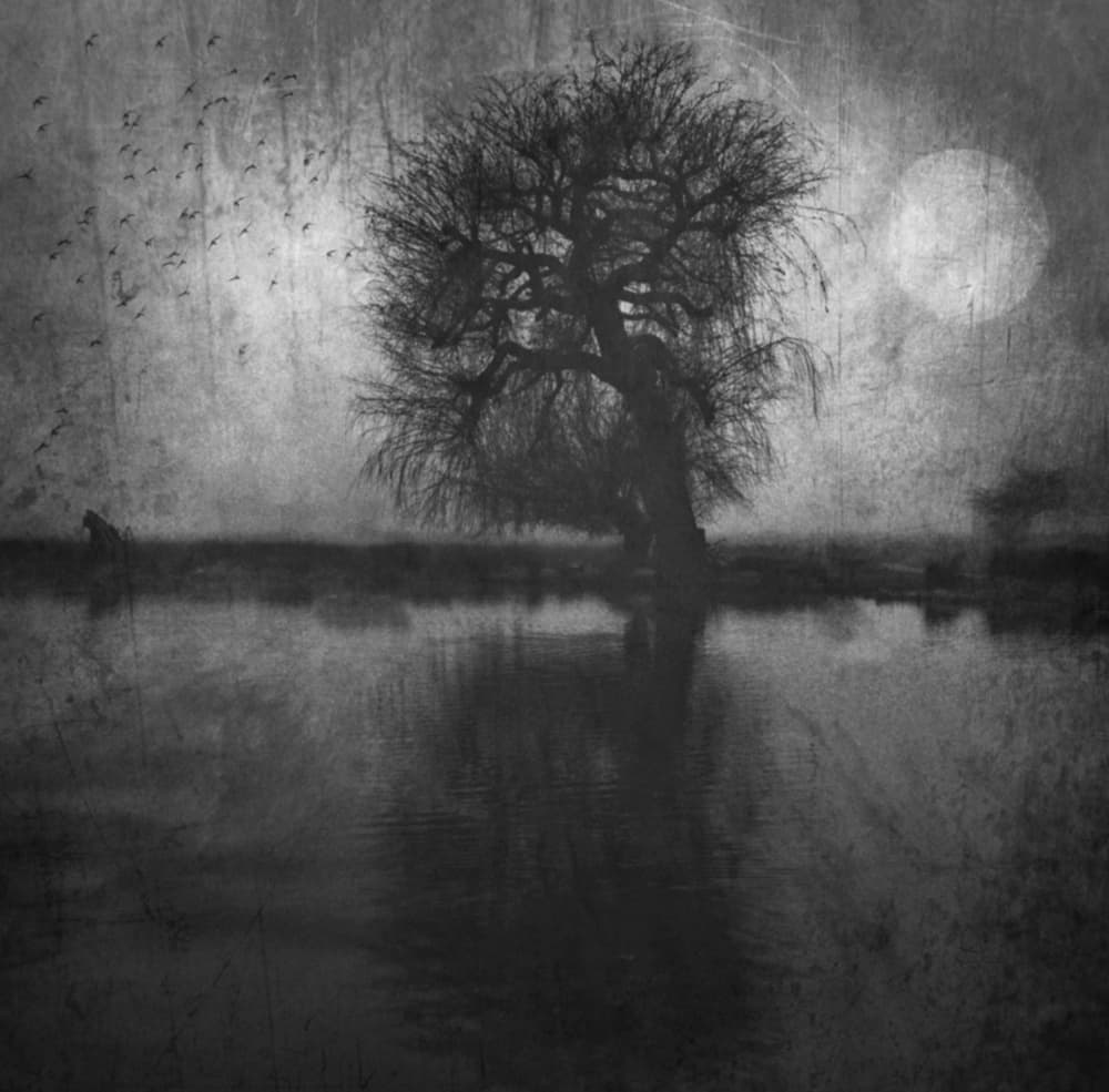 Moonlit Tree Reflection by Robert Fabrowski — canvas wall art