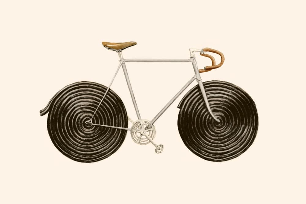 Sweet Licorice Bicycle by Florent Bodart — canvas wall art