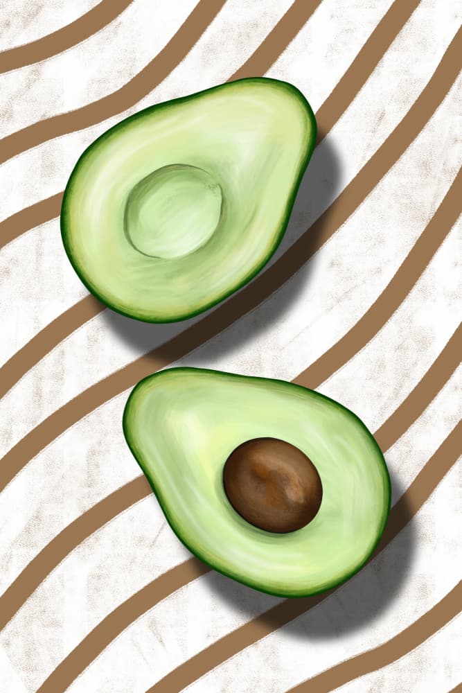 Fresh Avocado Halves by EMELIEmaria — canvas wall art