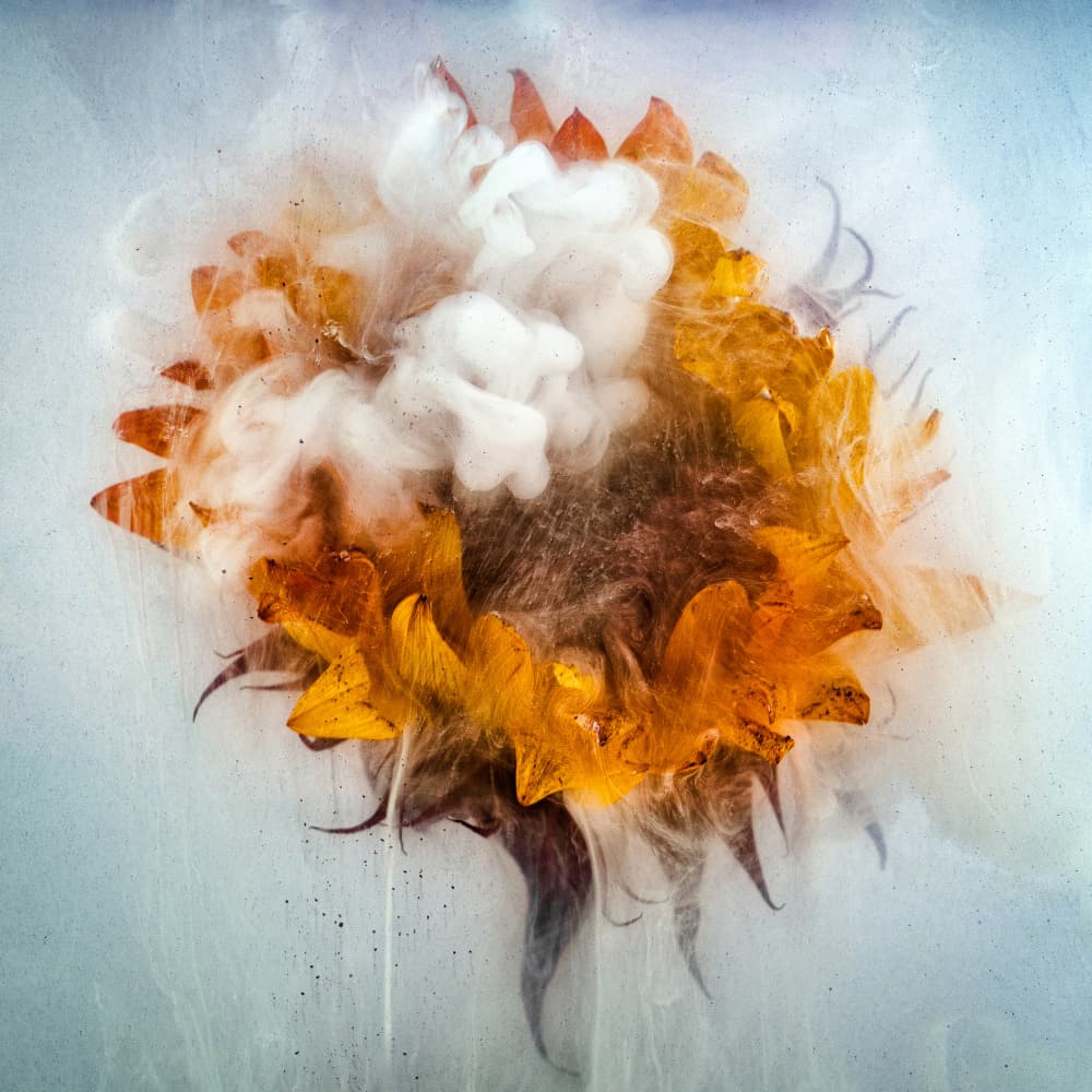 Golden Sunflower Swirl by Hilda Champion — canvas wall art