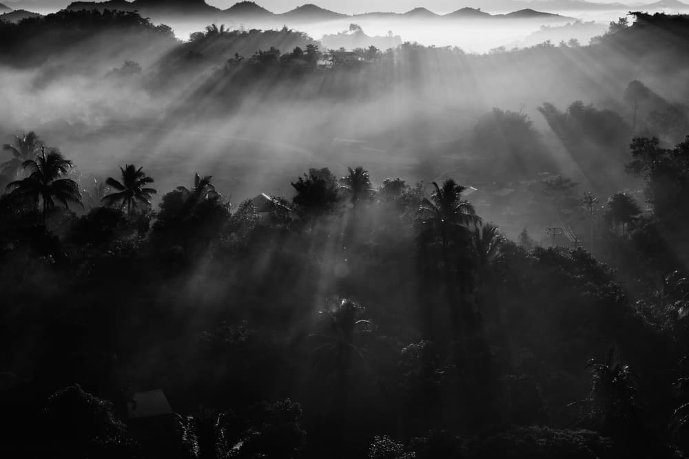 Misty Tropical Sun Rays by ADIREK M — canvas wall art