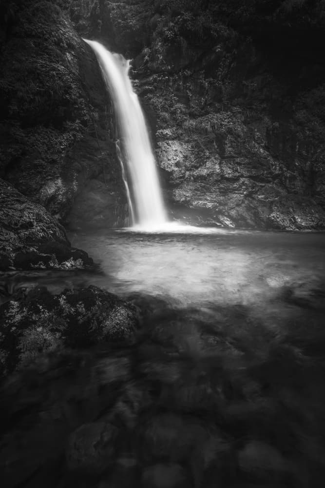 Serene Forest Waterfall by Thomas de Franzoni — canvas wall art
