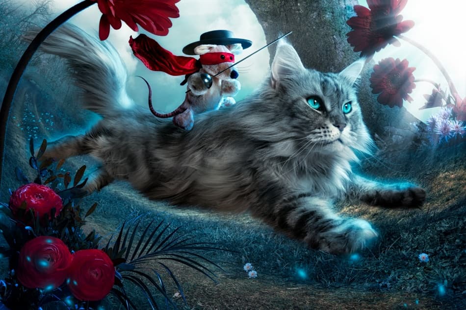 Whispers of a Wondrous Ride by Christophe Kiciak — canvas wall art
