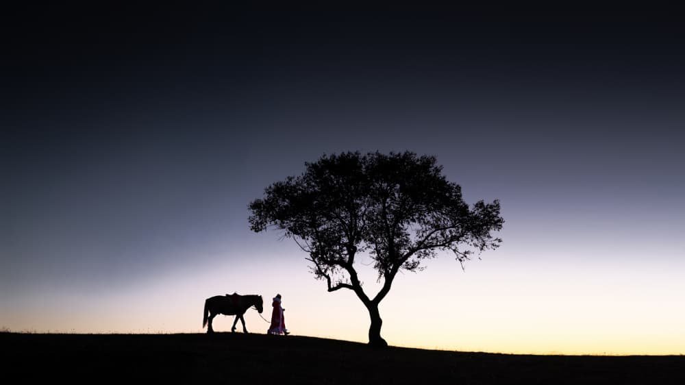 Twilight Horse Walk by Simoon — canvas wall art