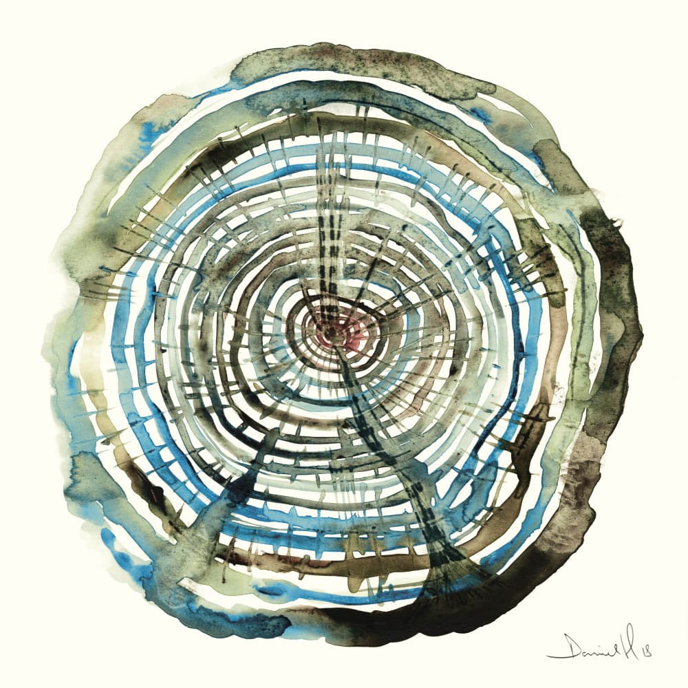 Water Oak by Dan Hobday — canvas wall art