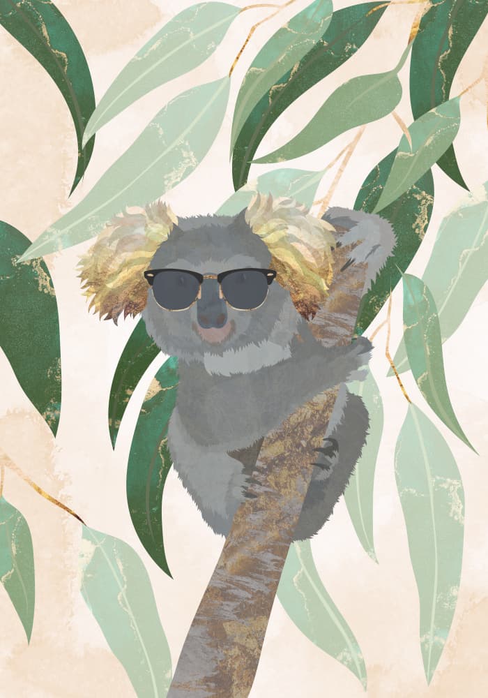 Cool Koala by Sarah Manovski — canvas wall art