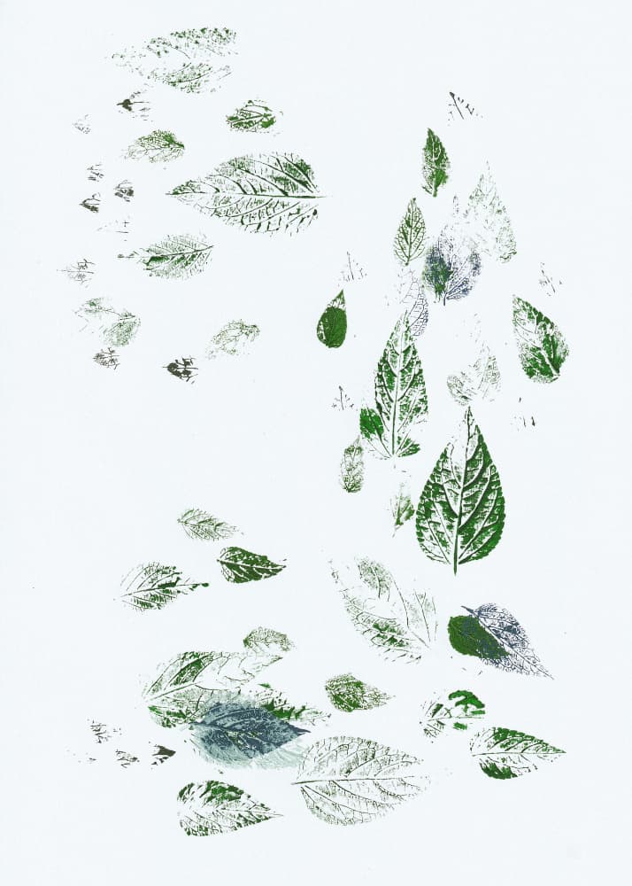 Falling Green Leaves