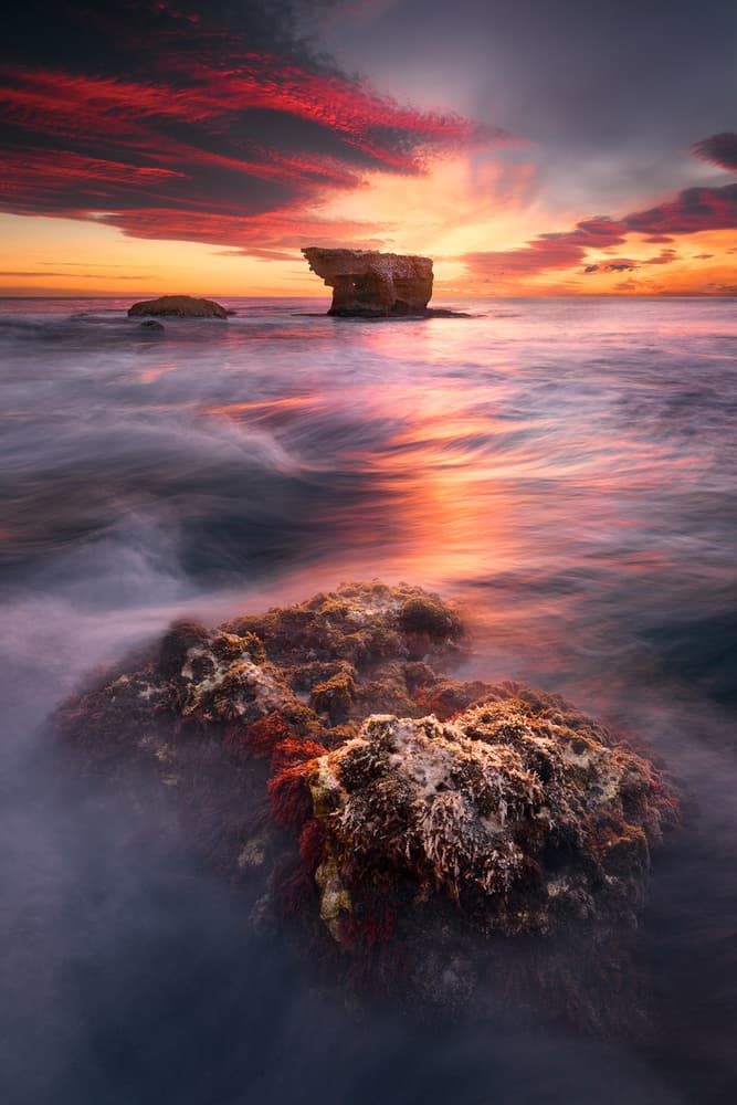 Vibrant Ocean Sunset by Anto Camacho — canvas wall art