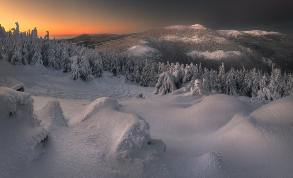 Golden Winter Sunrise by Tomasz Rojek — canvas wall art