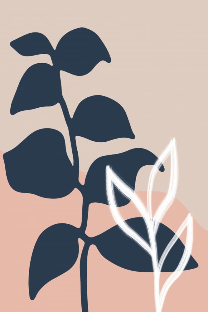 Abstract Botanical Leaves by Talitha McQueen — canvas wall art