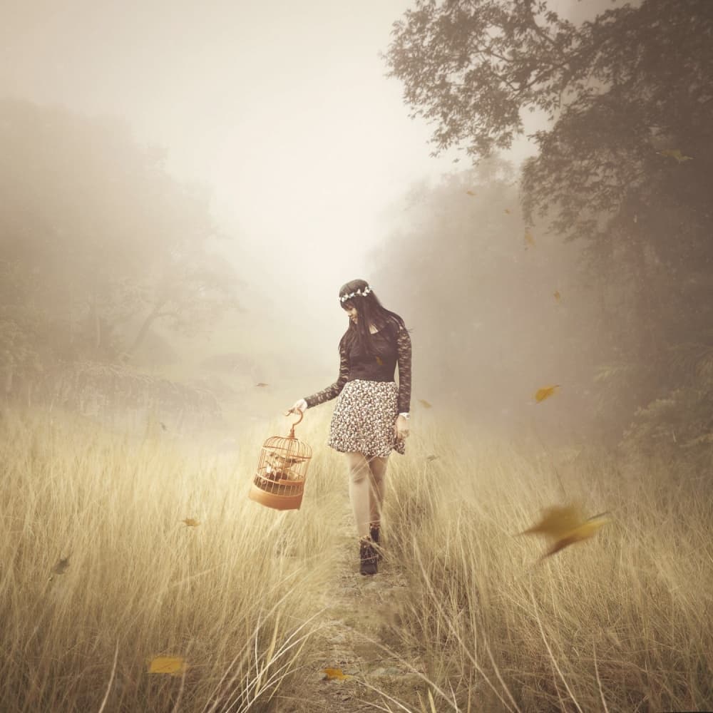 Misty Autumn Wander by Ivan Valentino — canvas wall art