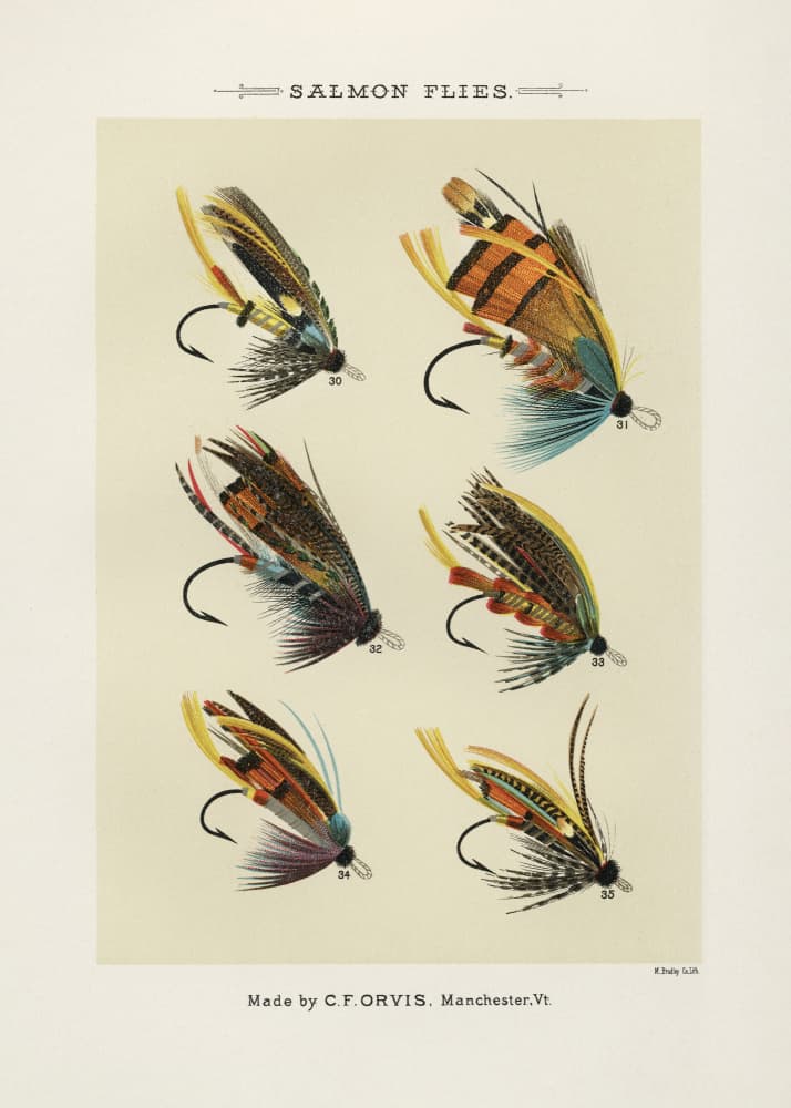 Salmon Fliee 1892