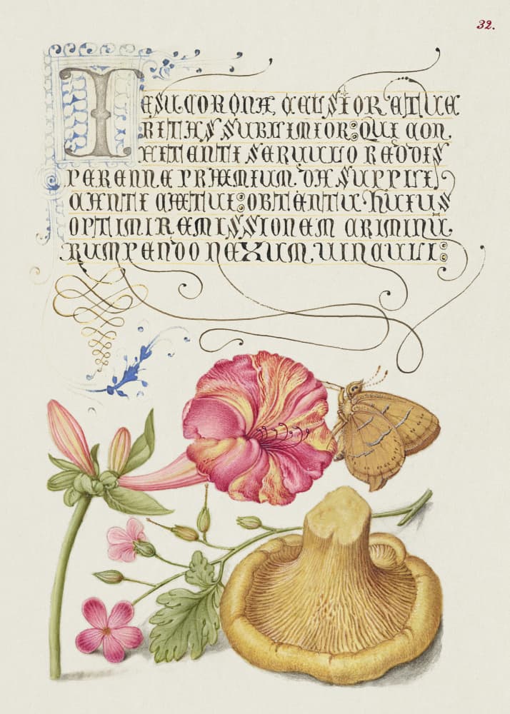 Mira Calligraphiae Monumenta by Georg Bocskay and Joris Hoefnagel — canvas wall art