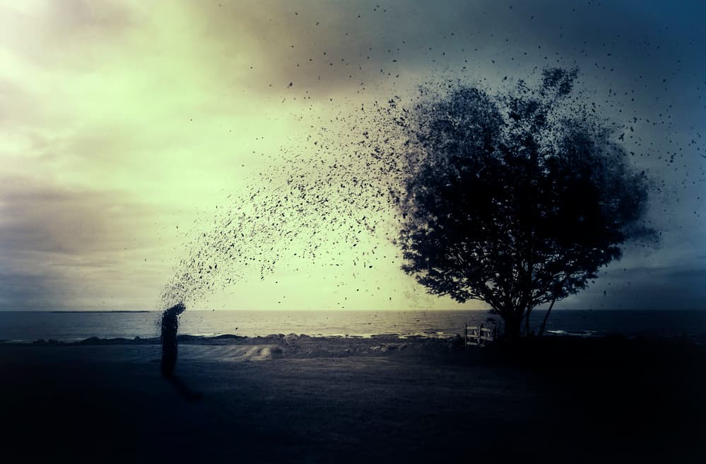 Figure And Dissolving Tree by John Colbensen — canvas wall art