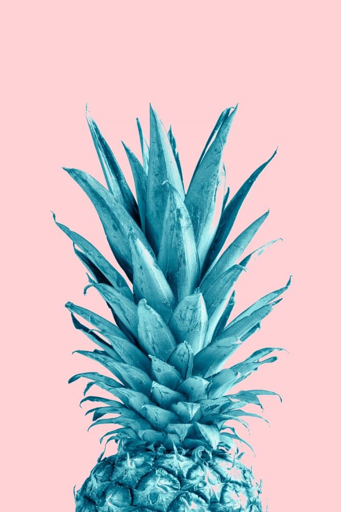 Vibrant Blue Pineapple by Pictufy Studio III — canvas wall art
