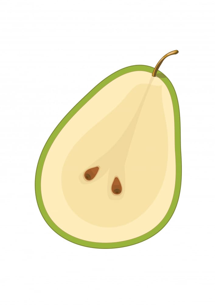Green Pear Slice by Nicholas — canvas wall art