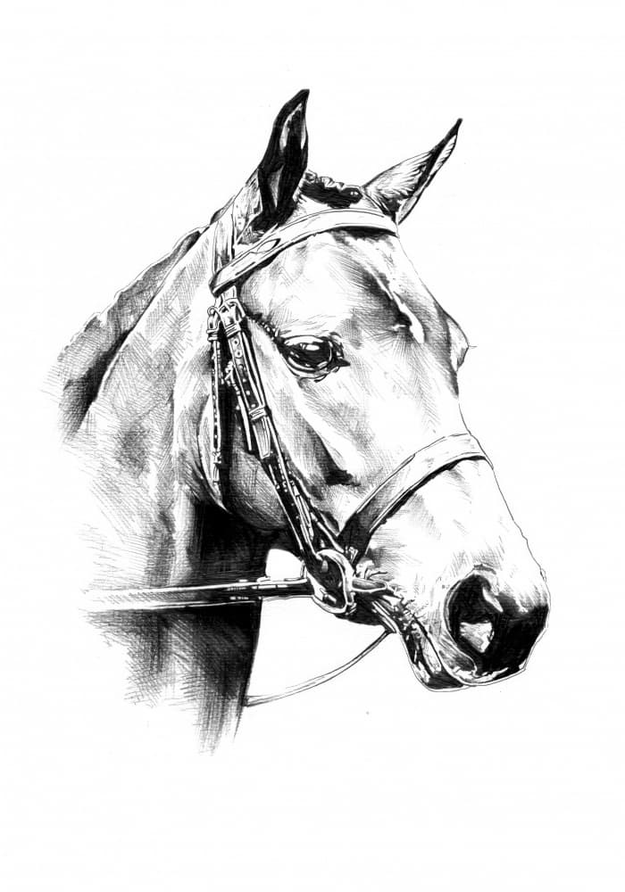 Noble Horse Portrait by Kulik — canvas wall art