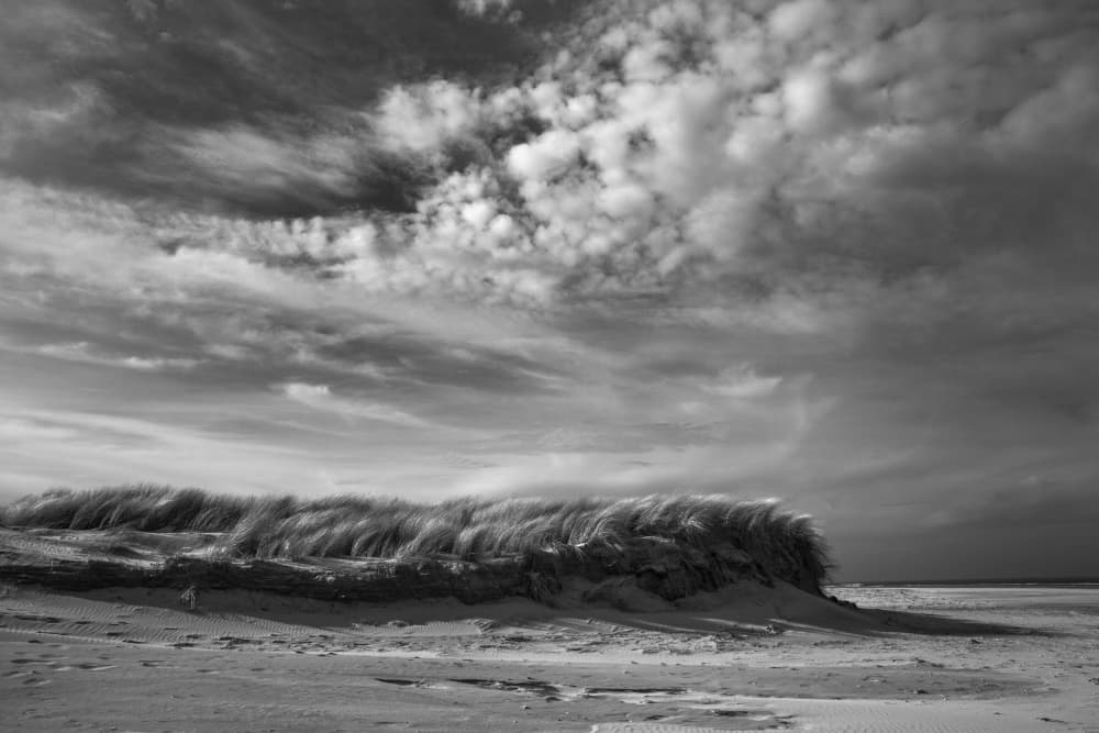 Windswept Beach Dunes by Liesbeth van der Werf — canvas wall art