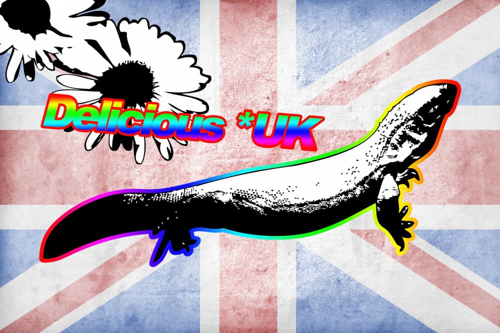 Rainbow UK Lizard by Rafal Kulik — canvas wall art