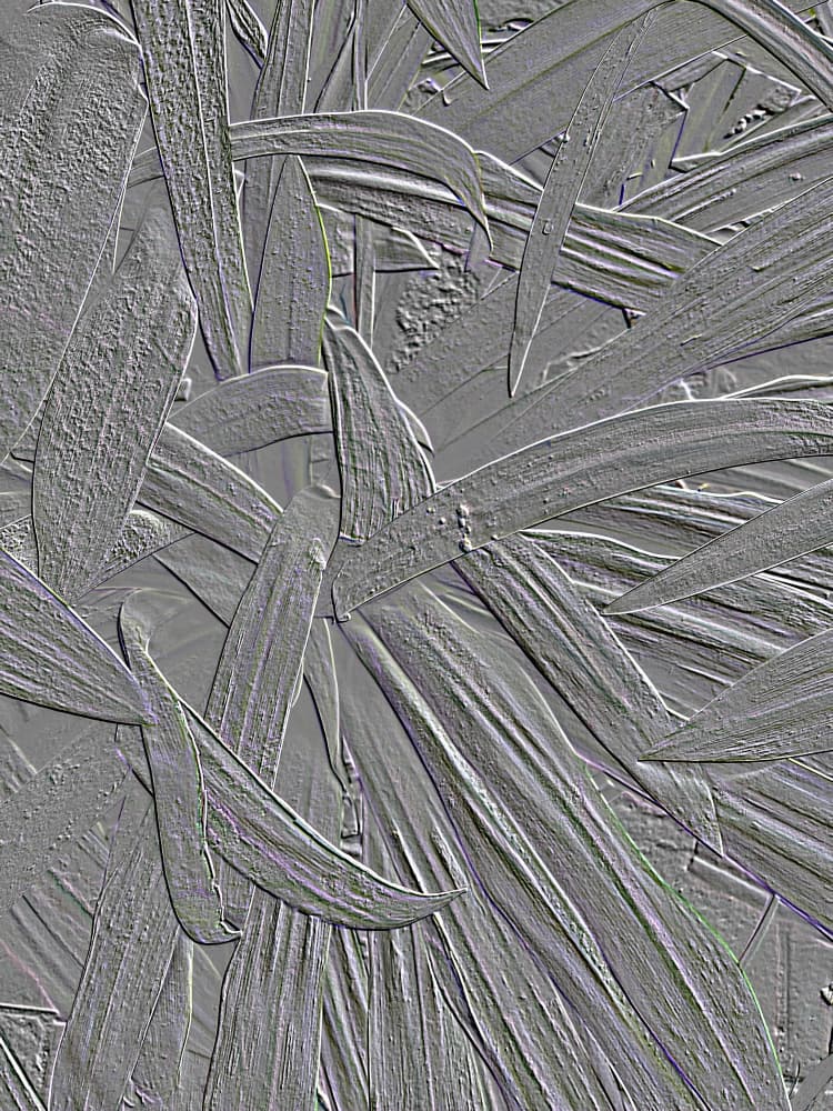 Sculptural Leaf Pattern by Santhosh ch — canvas wall art