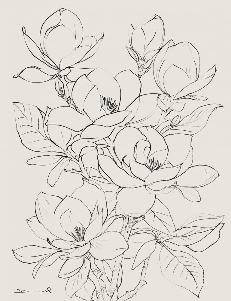 Magnolia Tree by Dan Hobday — canvas wall art