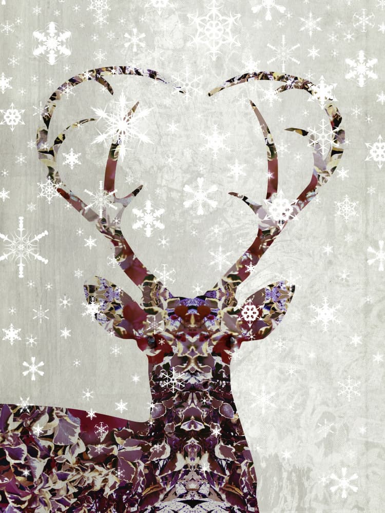 Winter Deer Heart by Angelo Cerantola — canvas wall art