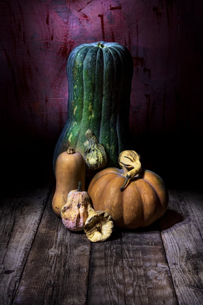 Dark Harvest Still Life by Felice Angelino — canvas wall art