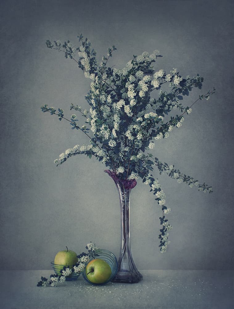 Spring Blooms and Apples by Dimitar Lazarov - Dim — canvas wall art