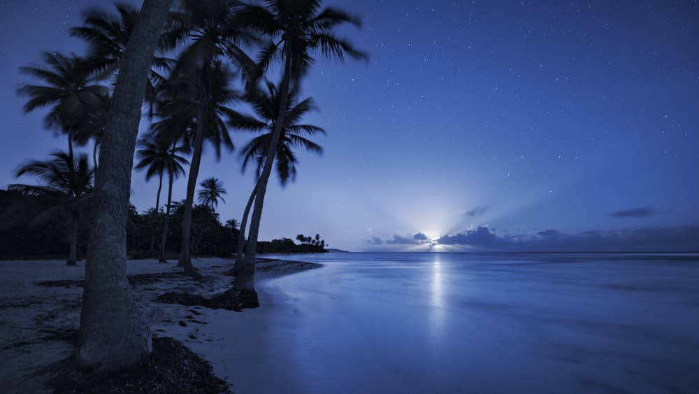 Tropical Moonrise by Stefan Hefele — canvas wall art