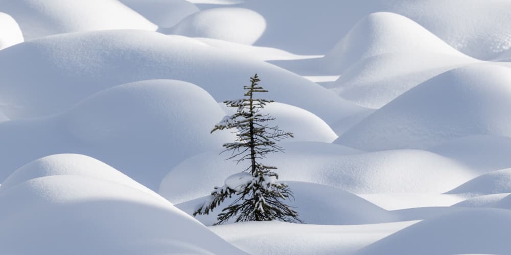 Winter Snow Drifts by James Bian — canvas wall art