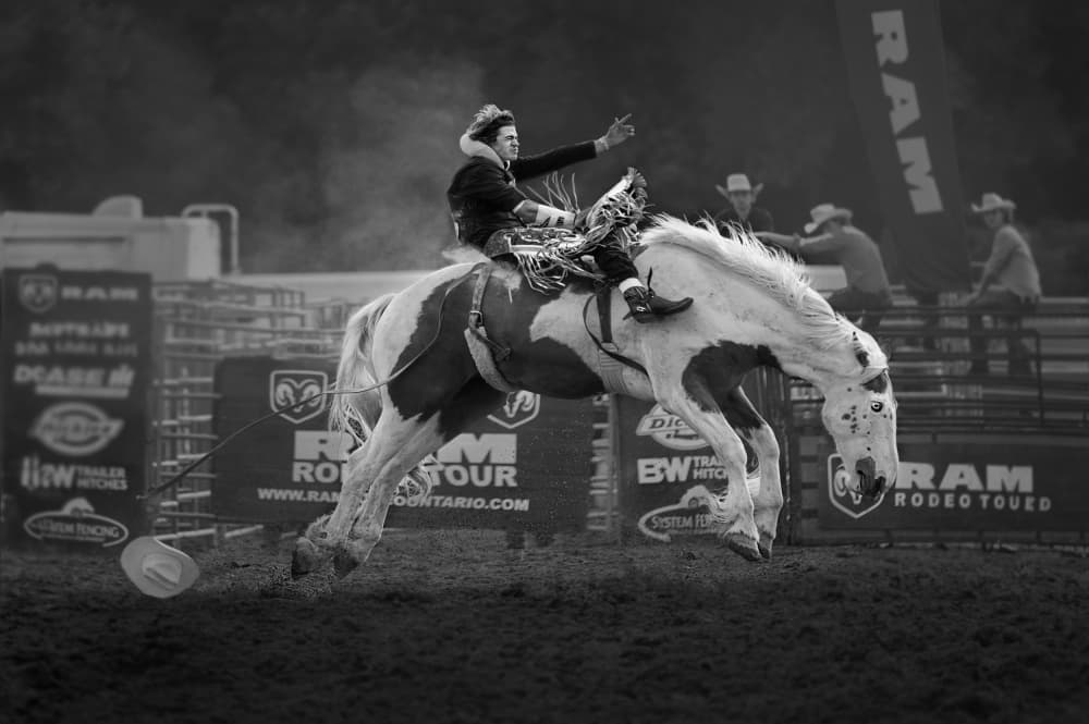 Rodeo Cowboy Ride by Molly Fu APA — canvas wall art