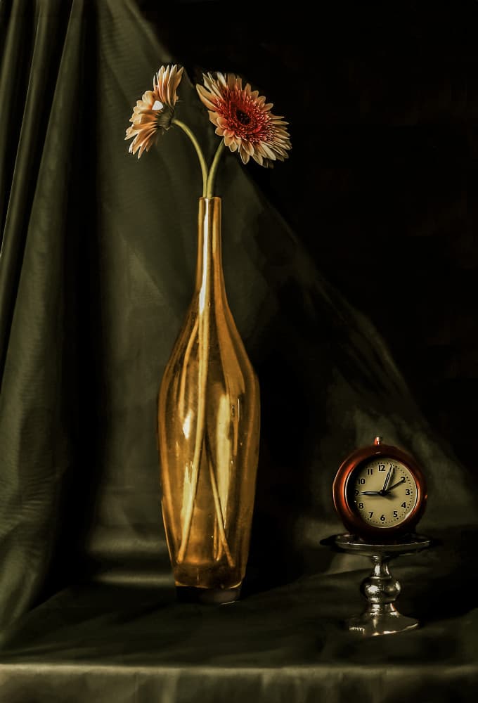 Golden Gerbera Still Life by jlloydphoto — canvas wall art