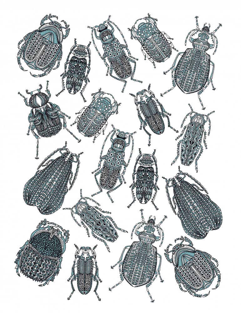 Intricate Beetle Collection by Nicole Bustamante — canvas wall art