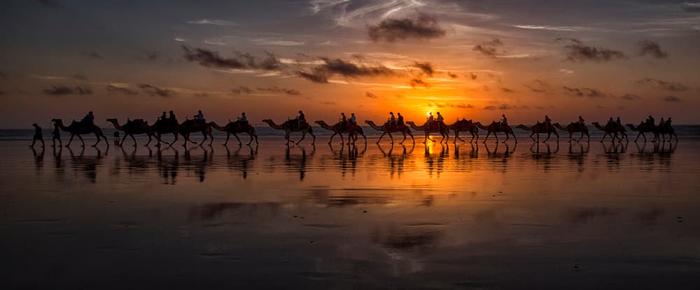 Sunset Camel Caravan by Louise Wolbers — canvas wall art