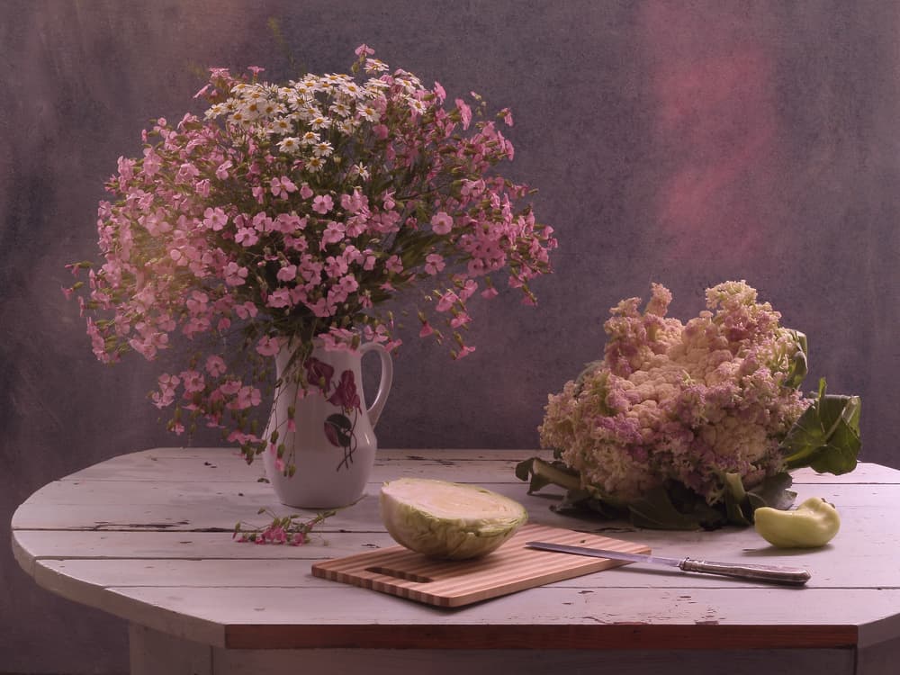 Garden Harvest Still Life by UstinaGreen — canvas wall art