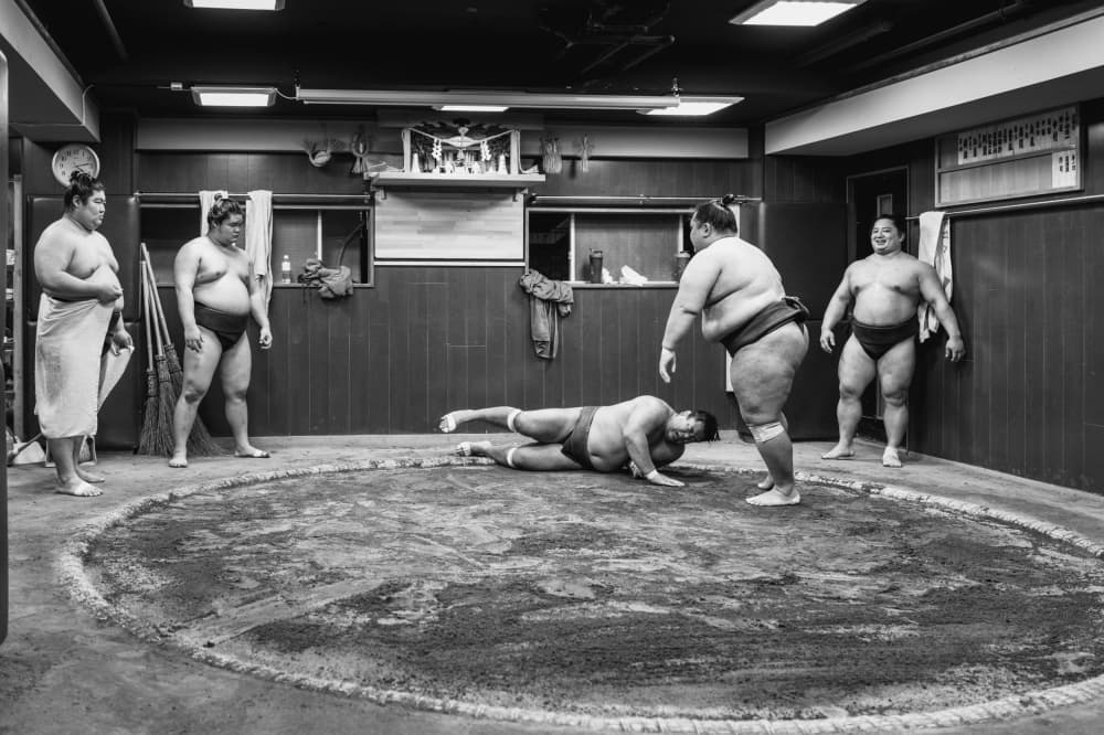 Japanese Sumo Practice by Ken Frank — canvas wall art