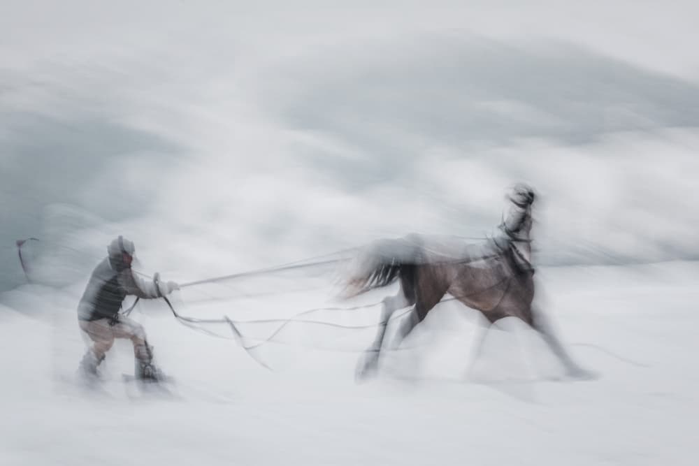 Blurred Horse in Snow by Dusan Ignac — canvas wall art