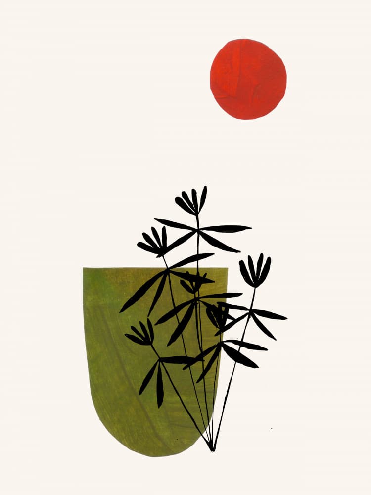 Green Plant Red Sun by Ejaaz Haniff — canvas wall art
