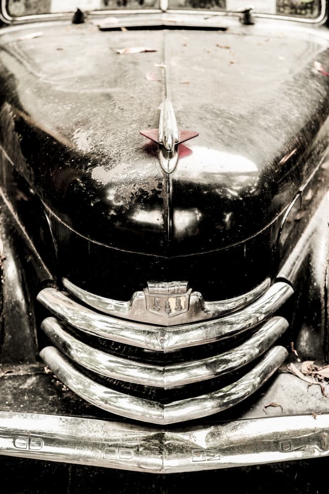Vintage Elegance by Shot by Clint — canvas wall art