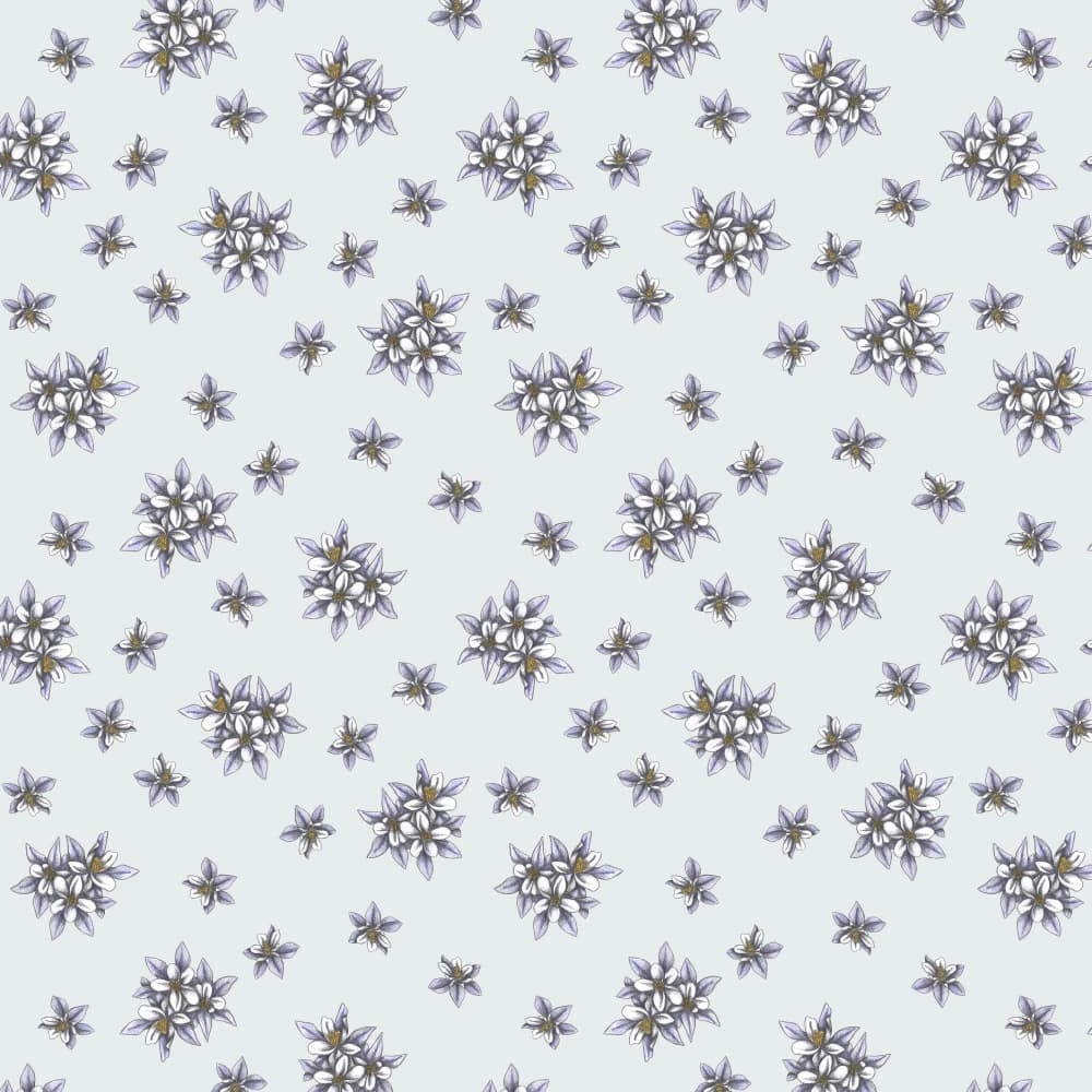 Delicate Floral Clusters by Cecilia Battaini — canvas wall art