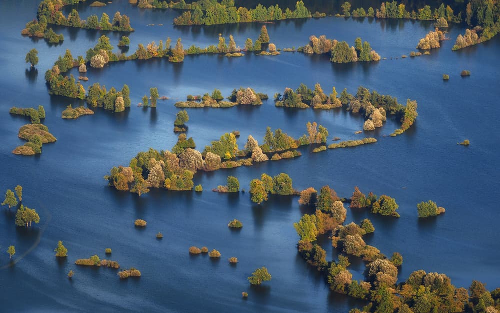 Flooded Autumn Forest by Ales Komovec — canvas wall art