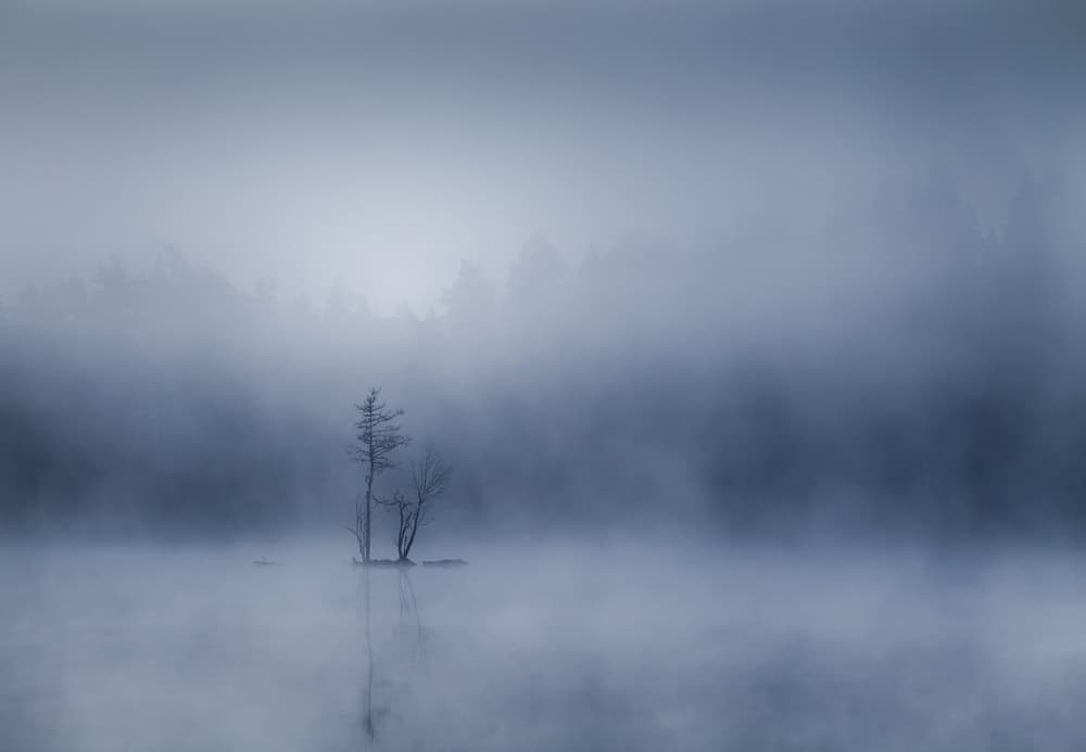 Misty Lake Reflection by Andreas Christensen — canvas wall art