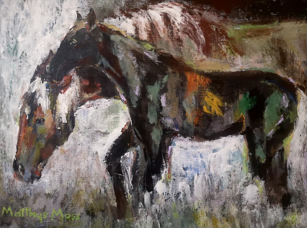 Colorful Wild Horses