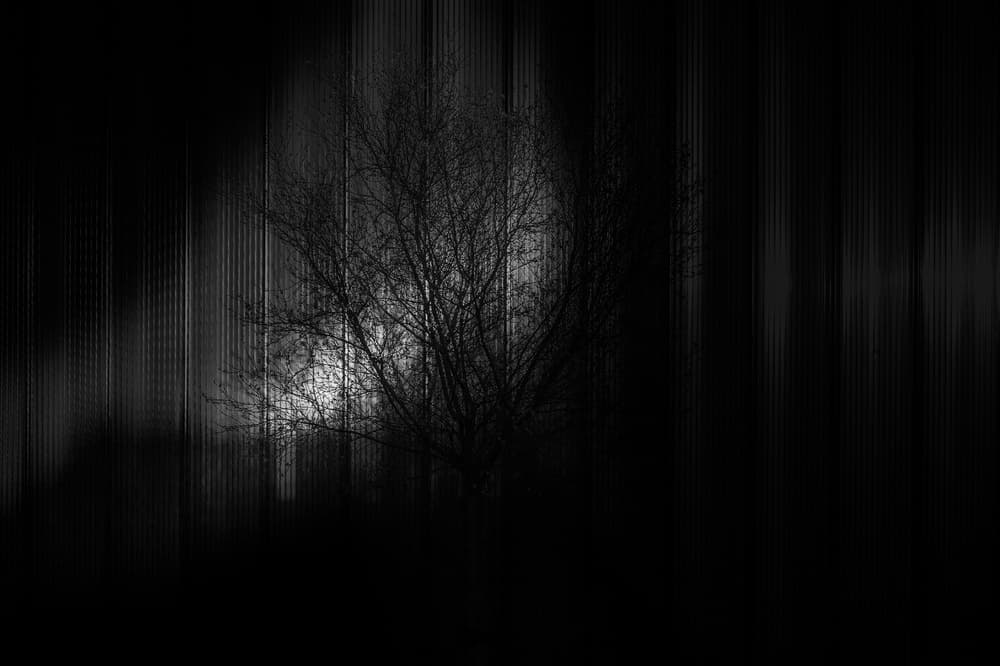Moody Tree Silhouette by Hilde Ghesquiere — canvas wall art