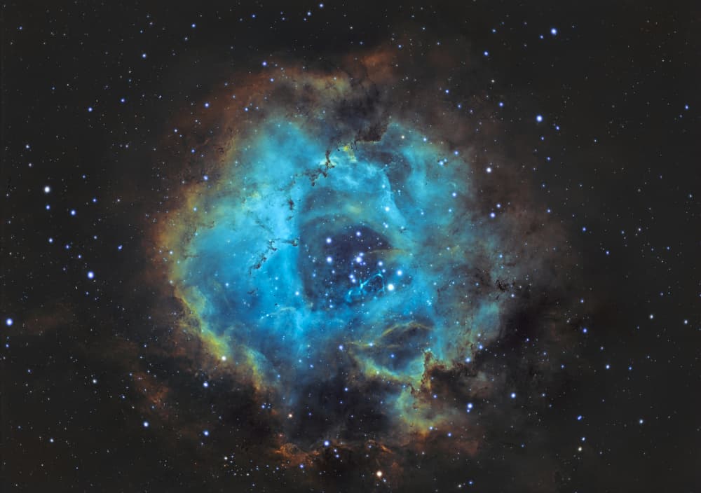 Cosmic Rose Nebula by Massimo Tamajo — canvas wall art