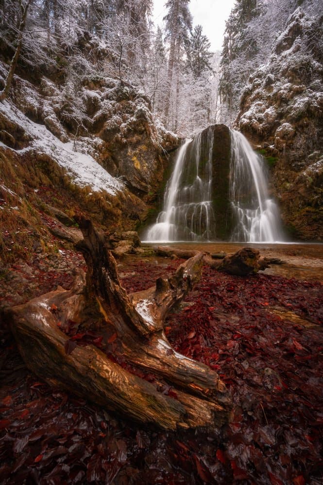 Winter Waterfall Red Leaves by Anastasios Gialopoulos — canvas wall art